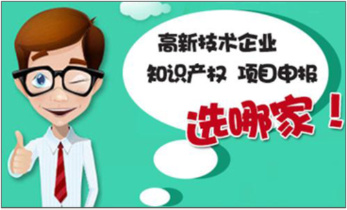 知识产权综合服务 企业创新发展的护航者